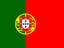 svg icon
